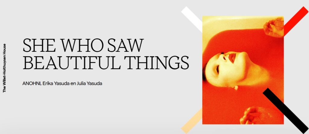 ANOHNI exhibition poster She Who Saw Beautiful Things Amsterdam