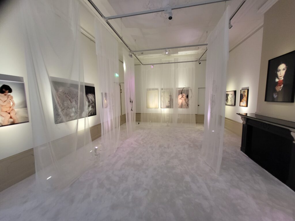 Contemporary white room installation with sheer fabric photographs