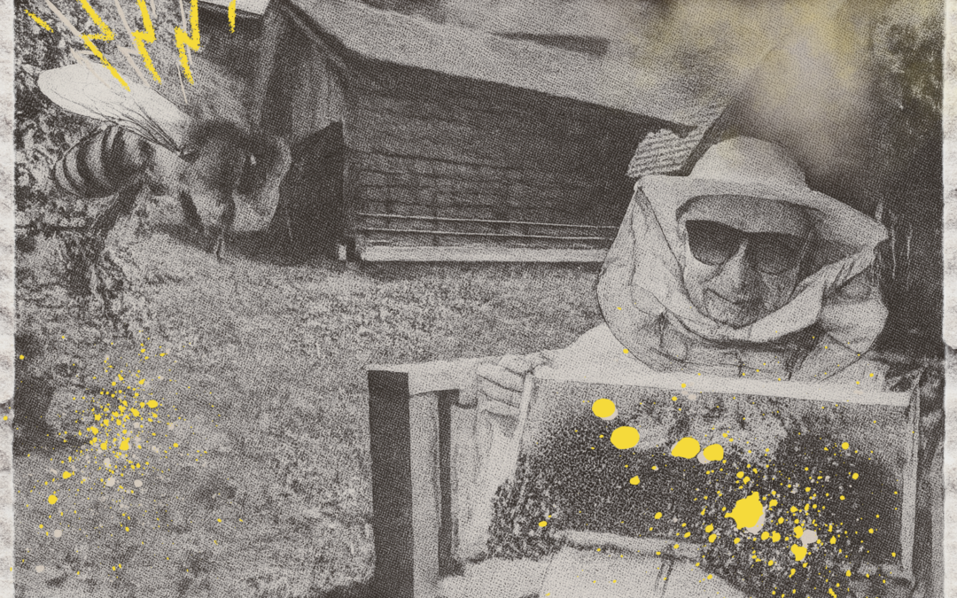 Anton Janša’s Apiary, Breznica